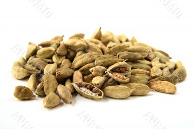 whole cardamon seeds