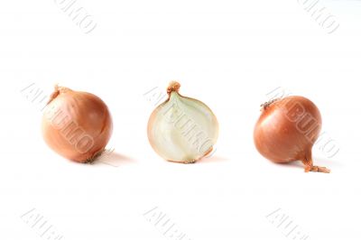 Two whole onions and a half