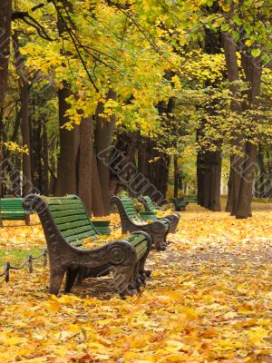 Empty benches