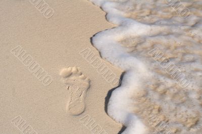 footprint on the beach