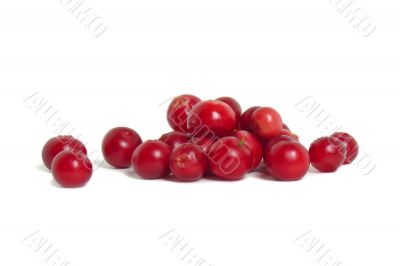 Scattering of cranberries on white background