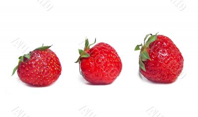 Ripe strawberries