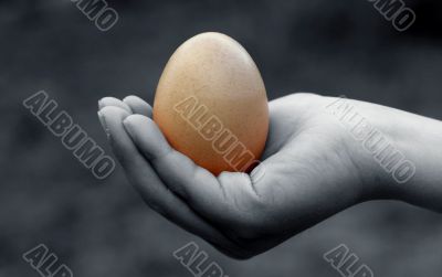 The Egg