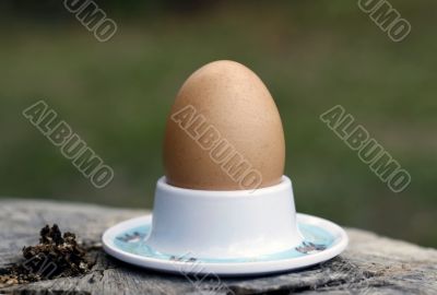 The Egg