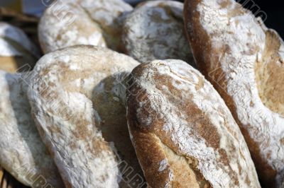 freshly baked white bread rolls on white