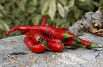 hot red chillies