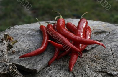 hot red chillies