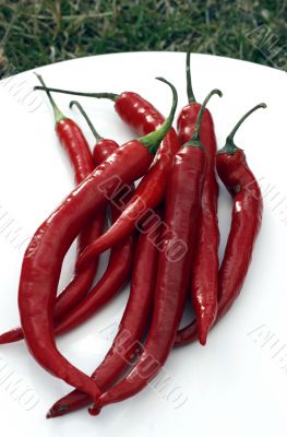 hot red chillies