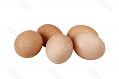 free range eggs