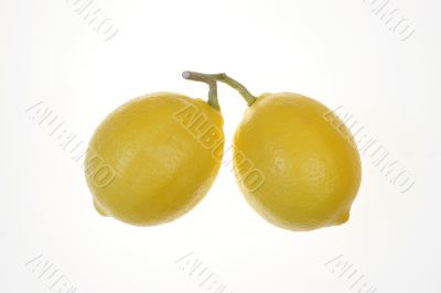 Two Whole Lemons on white