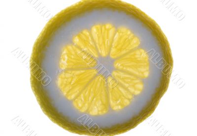 lemon slice