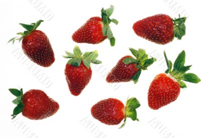 strawberry isolated on white background