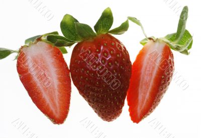 isolated strawberry