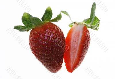 isolated strawberry