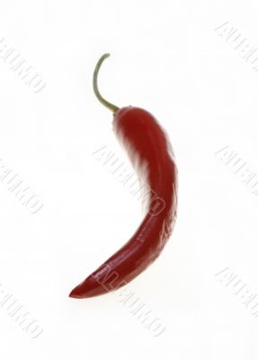 chillies