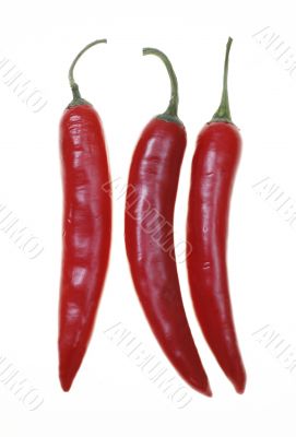 chillies