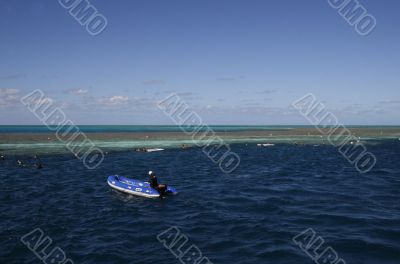 snorkeling at the great barrier reef