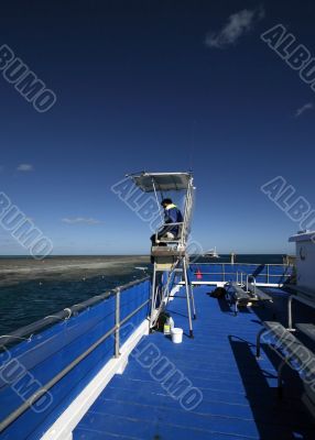 snorkeling at the great barrier reef