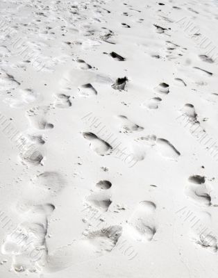 whitehaven beach