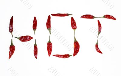 HOT chilli