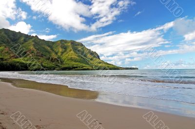 Beach in Honolulu