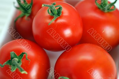 Tomatoes