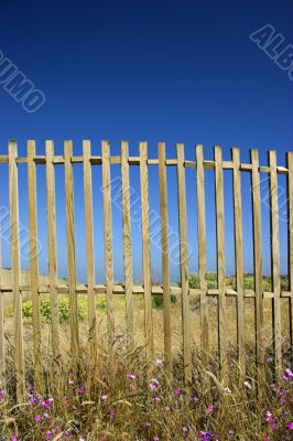 Fences in blue