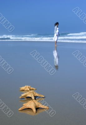 Tree Starfishes