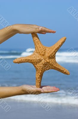 Starfish woman