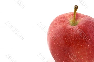 Fresh Red Apple