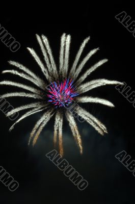 Fireworks lighting in floral pattern at night