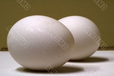 Eggs