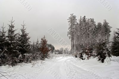 winter road