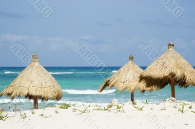 Grass Beach Umbrellas