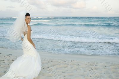 Caribbean Beach Wedding