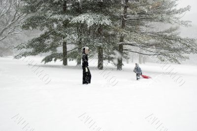 Sledding in the Park