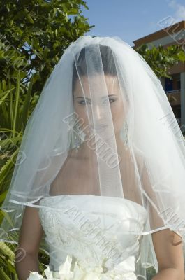 Caribbean Beach Wedding