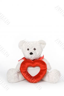 Bear with Heart Frame