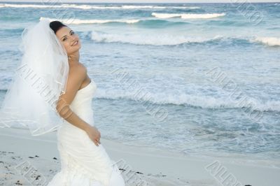 Caribbean Beach Wedding