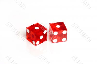  Casino Dice