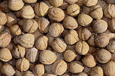 walnuts