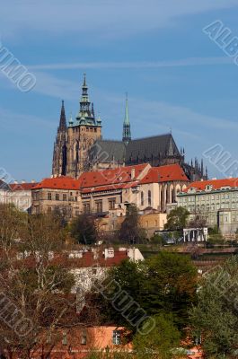 Cathedral of St Vitus