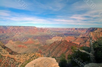 Grand Canyon View