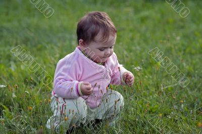 on the meadow