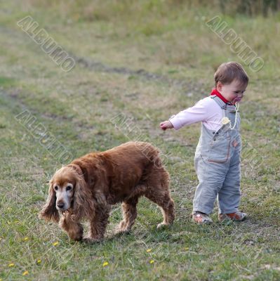 baby with dog