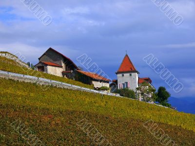 Vineyards of Lavaux, Switzerland