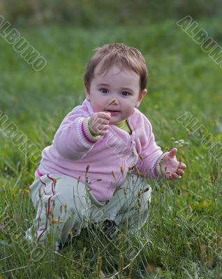 on the meadow