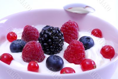 Yogurt with fruits