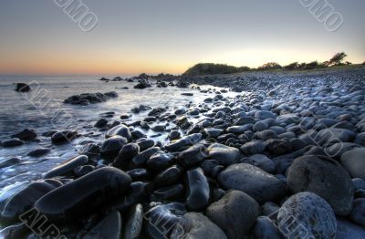 Morning at Forster