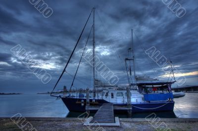 Morning at Forster